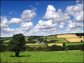 devon-countryside