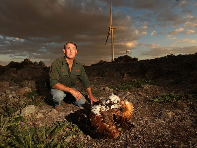 waterloo-wind-turbines