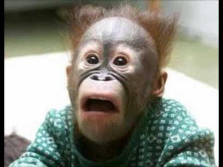 More than 1000 megawatts of installed wind power sitting&nbsp;uselessly