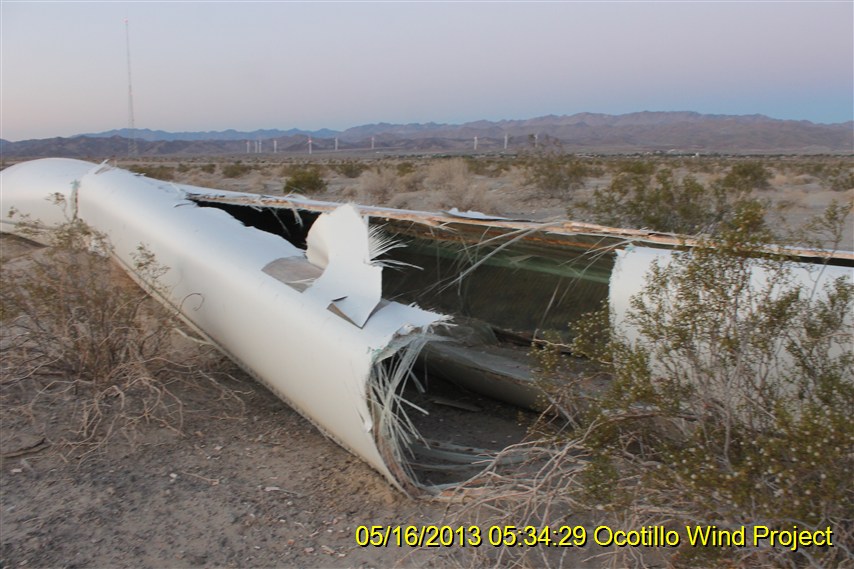 bladethrow-shredding-ocotillo