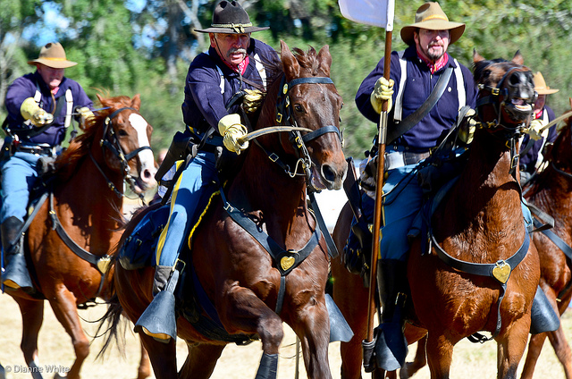 Hold on Macarthur – the Coalition-Cavalry are&nbsp;coming
