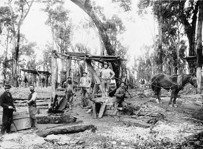 gold mining victoria