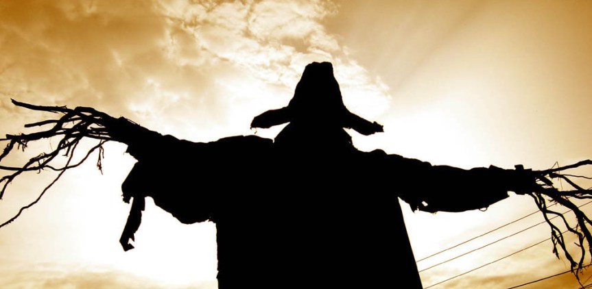 Illusions not Visions