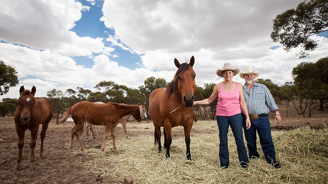 Scrapping the RET is just good Horse&nbsp;Sense