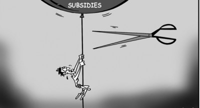 subsidies