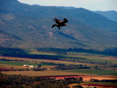 Battle for Mount Emerald Reaches Boiling&nbsp;Point