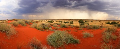 Australian Desert - A fragile ecosystem