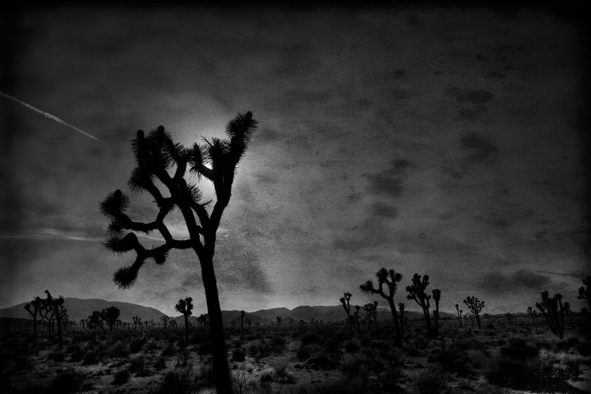 There’s NO place for Wind Farms: Even Where the Streets Have No&nbsp;Name