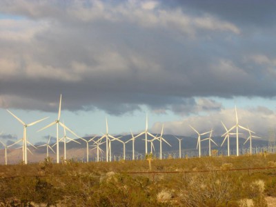 Backyard view in Mojave, CA.