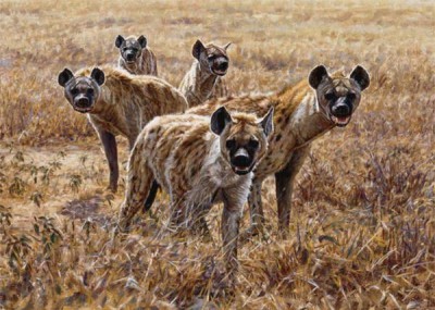 Hyenas