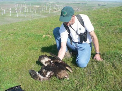 golden-eagle-altamont-400x300