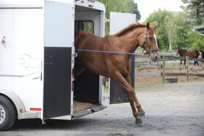For Pacific Hydro’s Liability to its Wind Farm Victims it’s “Too Late She Cried: the Horse Has Already&nbsp;Bolted”