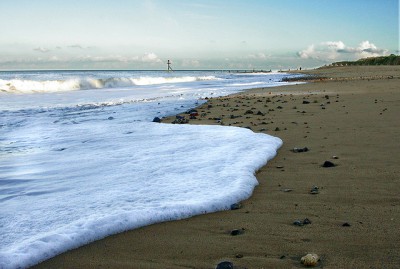 Tide Turns as Senate Inquiry hears from the Wind Industry’s “Road-Kill”