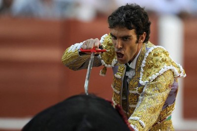 Bullfighter