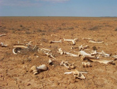 Wind Industry Still Wailing About ‘Uncertainty’ as Construction Finance ‘Drought’ Hits