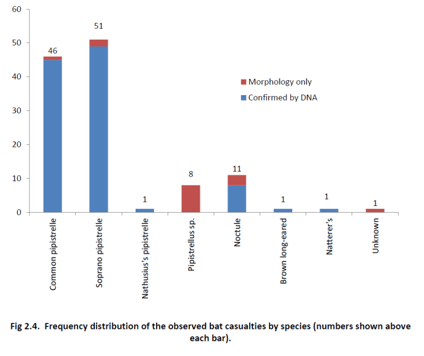 frequency-distribution-bat-deaths
