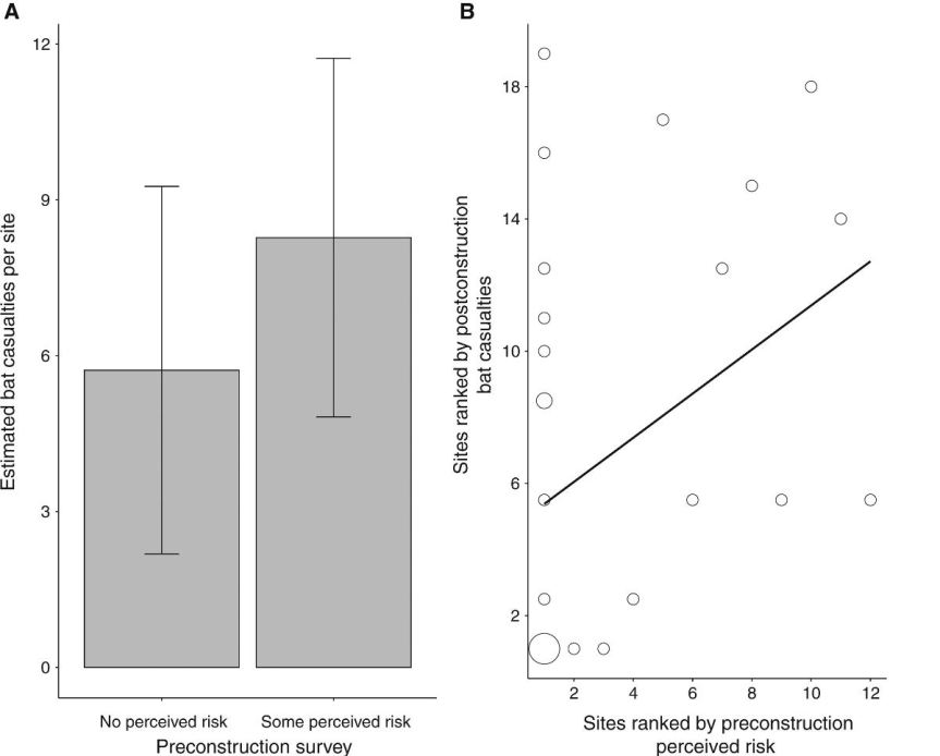 bat-casualty-prediction