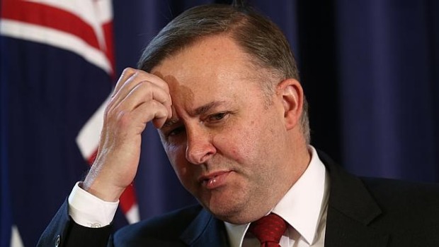 anthony-albanese