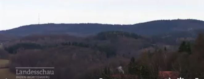 wald-michelbach_1jpg