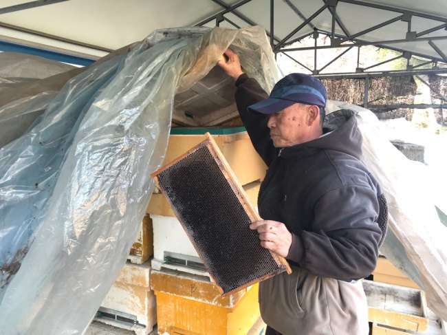 Beeline to Fury: Korean Farmers Declare War on Wind Power – For Wrecking Communities & Killing&nbsp;Bees