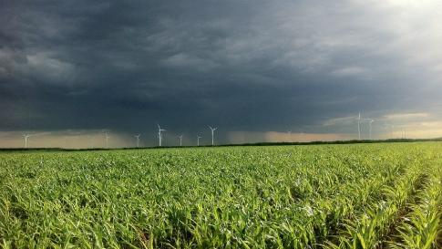India Rumbles Wind Power as Fake Electricity: Output Collapses During Dead-Calm&nbsp;Monsoon
