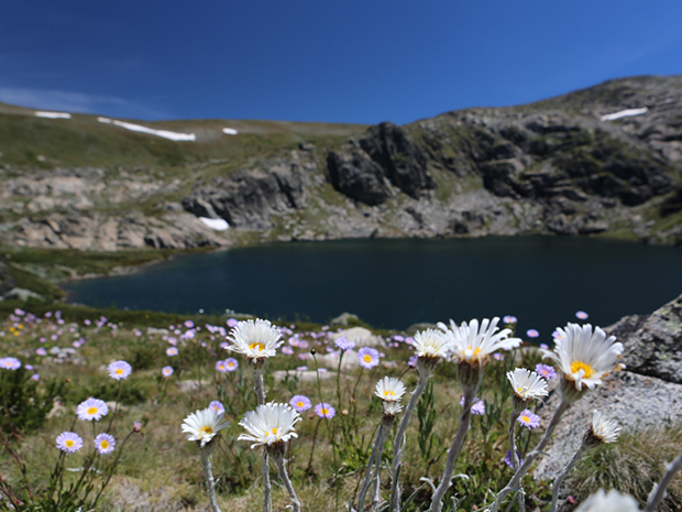 Snow Job: Giant Pumped Hydro Scheme Set to Destroy Australia’s Favourite National&nbsp;Park