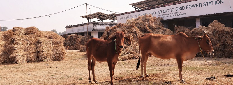 Fake Electricity Rejected: Power Hungry Indians Ditch Pointless Solar&nbsp;Schemes