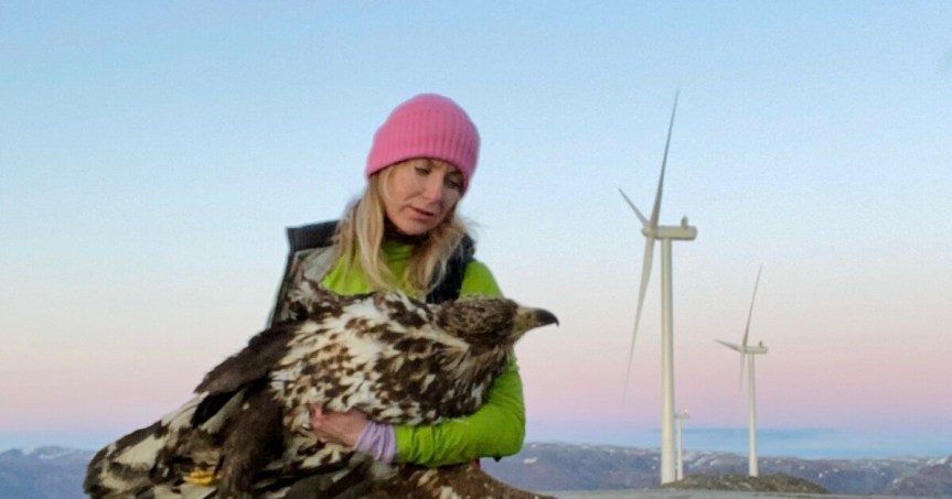 Enviro-Spin Unravels: Eagle ‘Saving’ Technology Just Another Wind Industry&nbsp;Lie