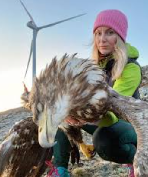 Pointless Slaughter: Wind Turbines ‘The Perfect Eagle Killing&nbsp;Machines’