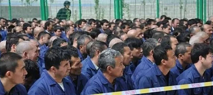 Blood Panels: Chinese Solar Industry Built On Industrial Scale&nbsp;Slavery