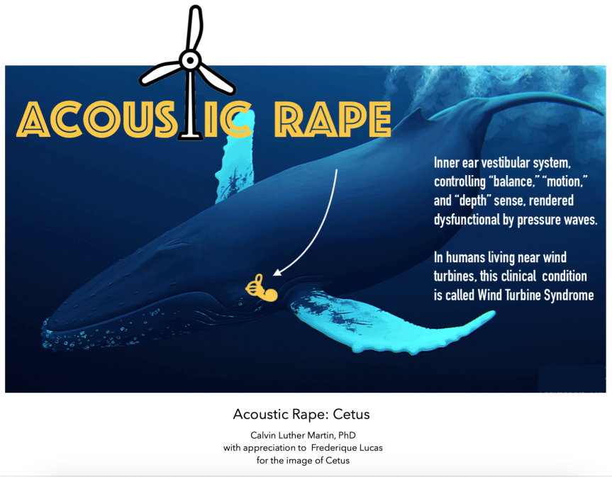 Acoustic Rape: Why Wind Turbine Construction Noise Kills&nbsp;Whales